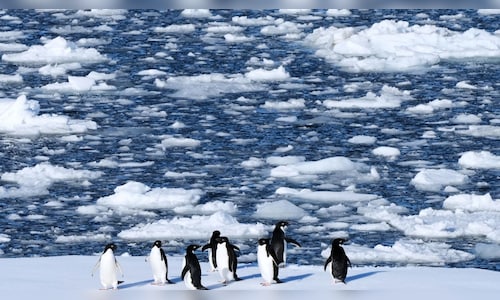Surge in Antarctic Tourism Sparks Fears of Pollution and Health Risks
