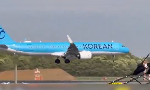 Video: Korean Air Flight Shakes During Landing Attempt at Narita Airport