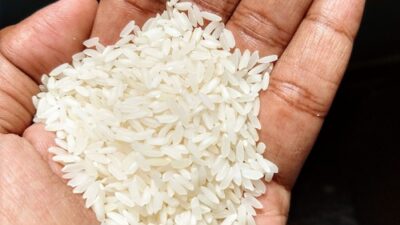 West Bengal Rice Sector Calls for Improved Infrastructure and Export Support from Incoming BJP Administration