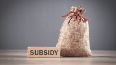 Chinese companies received subsidies up to eight times greater than those given to Indian firms, according to the OECD.