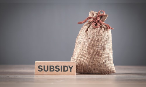 Chinese companies received subsidies up to eight times greater than those given to Indian firms, according to the OECD.
