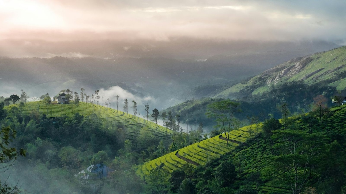 From God's Own Country to a Tapestry of Diversity: Exploring 10 Indian States and Their Cultural Identities
