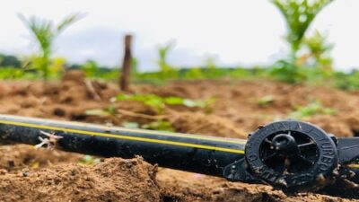 Jain Irrigation Systems Opens 20,000-Tonne Biochar Plant in Jalgaon, Maharashtra