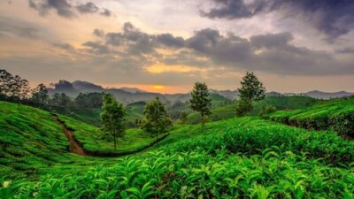 Kerala Allocates ₹325 Crore to Grant Industry Status to Tourism Sector