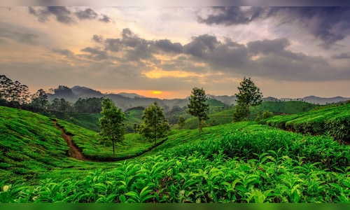 Kerala Allocates ₹325 Crore to Grant Industry Status to Tourism Sector