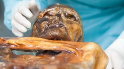 Microbes Discovered in the 5,300-Year-Old Body of 'Iceman' Mummy