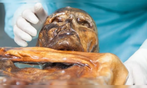 Microbes Discovered in the 5,300-Year-Old Body of 'Iceman' Mummy