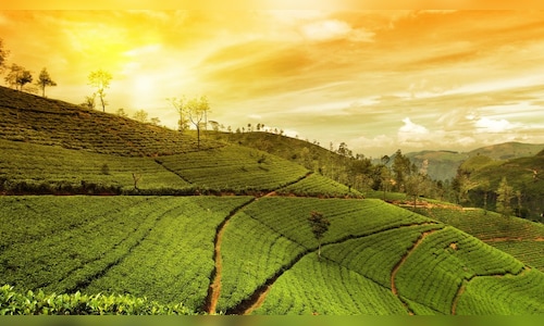 Misty Peaks and Green Scenery: Weekend Getaways from Kolkata