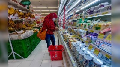 Three Factors Indicating a Potential Food Supply Crisis in Southeast Asia: Goldman Sachs