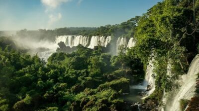 World Rainforest Day 2026: Ten Indian States Abundant in Biodiversity