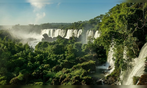 World Rainforest Day 2026: Ten Indian States Abundant in Biodiversity