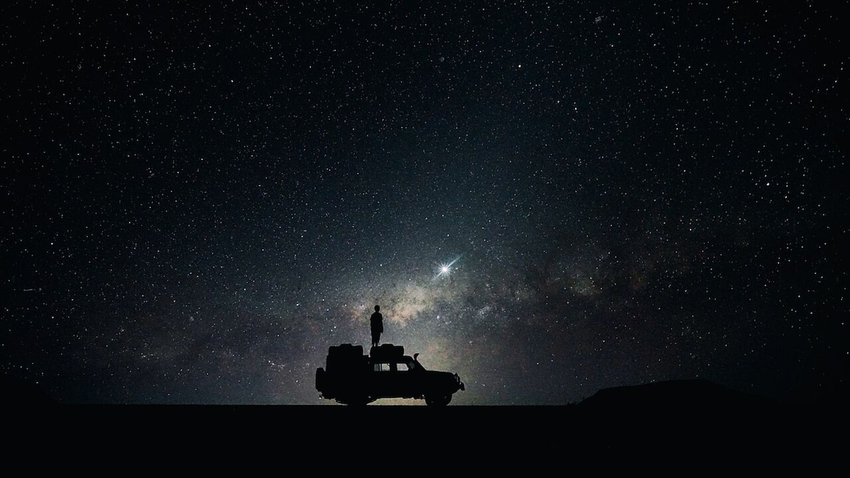 Across Continents: 10 Exciting Night Safaris Globally
