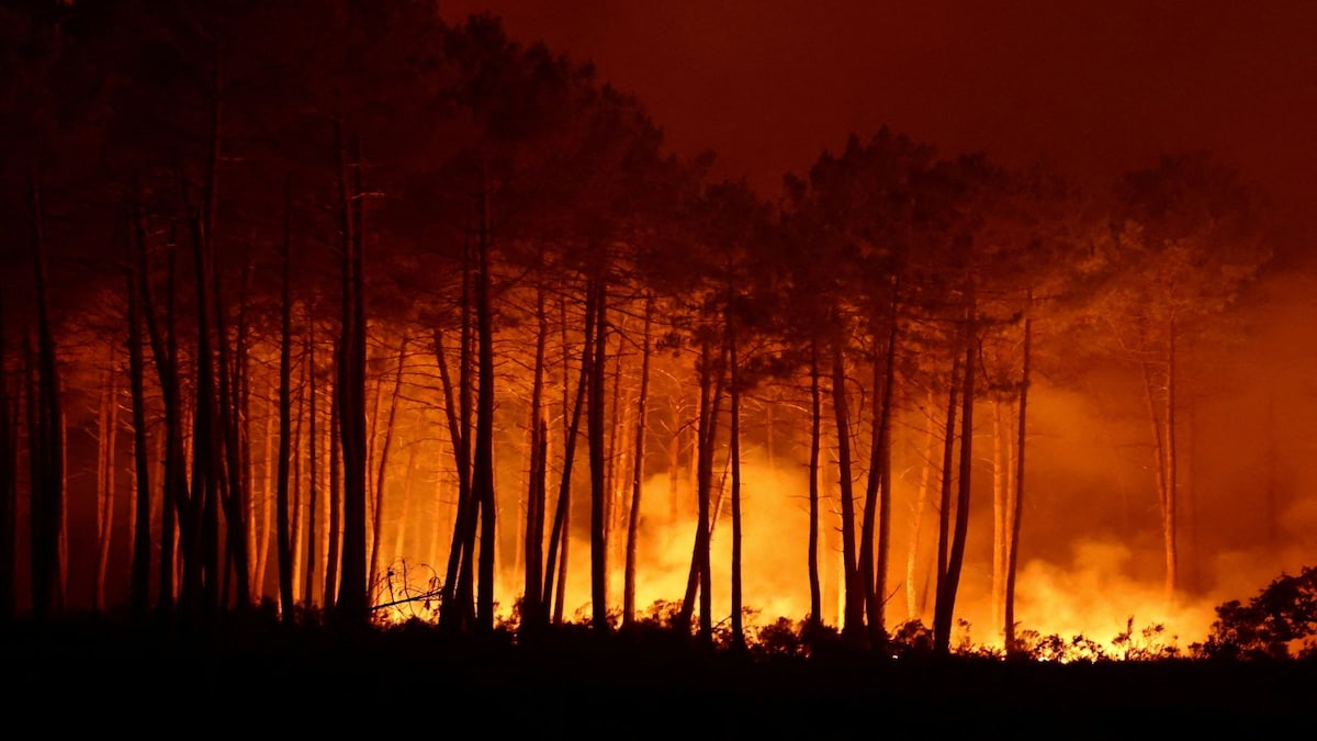 In Images: Wildfires in France Prompt Over 250,000 Evacuations Near Bordeaux