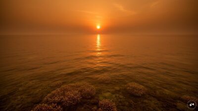 Record High Ocean Surface Temperatures Recorded in June as El Niño Increases Heat Risks
