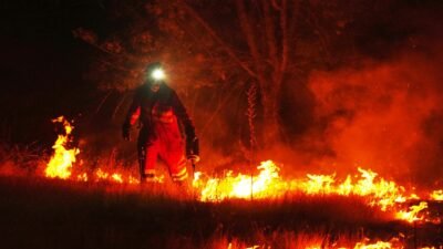 The Escalation of Wildfires in France and Spain into One of Europe's Most Severe Fire Crises