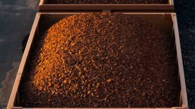 Iron Ore Plummets to Yearly Low Due to Trade Worries and Weak Demand Forecasts